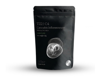 תפרחת גראנד ג'אטה - T22/C4 - Grand Jeté