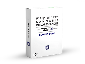 תפרחת ריבוע - T22/C4 - SQUARE