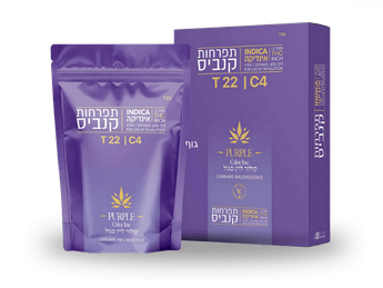 תפרחת קולור ליין סגול - T22/C4 - Color Line Purple
