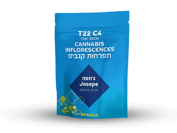 תפרחת ג'וספה - T22/C4 - Josepe