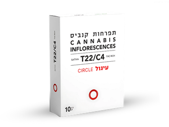 תפרחת עיגול - T22/C4 - Circle