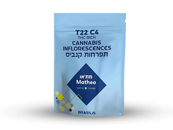 תפרחת  מת'או - T22/C4 - MATHEO