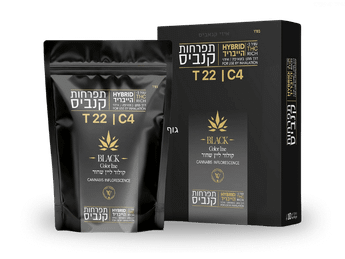 תפרחת קולור ליין שחור - T22/C4 - Color Line Black