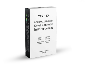 תפרחת קו.בלק מיני - T22/C4 - TECO Mini Co.Black