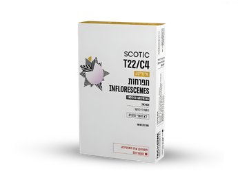 תפרחת סקוטיק מיני - T22/C4 - Scotic Mini