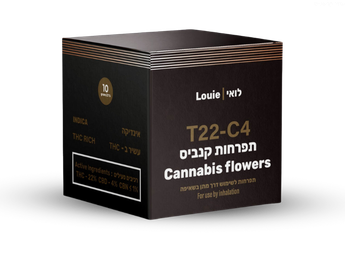 תפרחת לואי - T22/C4 - LOUIE
