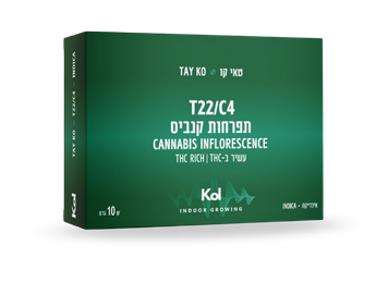 תפרחת טאי קו - T22/C4 - TAY KO