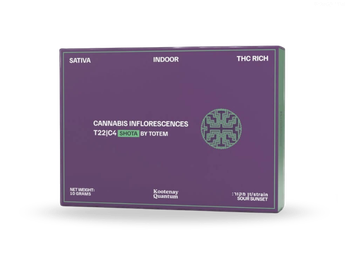 תפרחת שוטה - T22/C4 - Shota