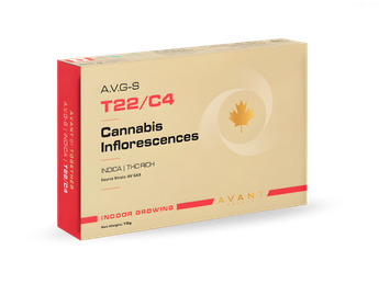 תפרחת איי.וי.ג'י-אס - T22/C4 - A.V.G-S
