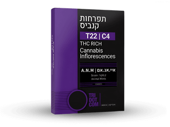 תפרחת איי.אנ.אם - T22/C4 - AA.N.M