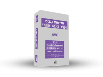 תפרחת איי וי גי - T22/C4 - AVG