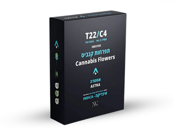 תפרחת אסטרה - T22/C4 - Astra