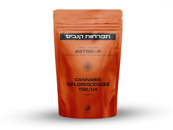 תפרחת אסטרו פי - T22/C4 - Astro-P