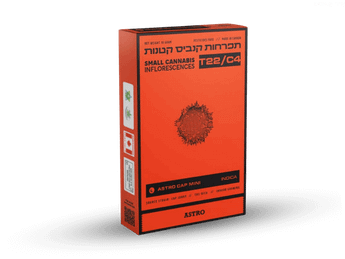 תפרחת אסטרו קאפ מיני - T22/C4 - Astro Cap Mini
