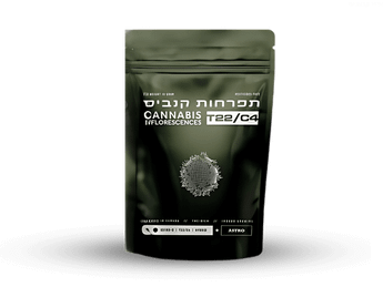 תפרחת אסטרו די - T22/C4 - Astro D