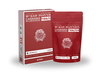 תפרחת אסטרו קיי.סי - T22/C4 - Astro K.C