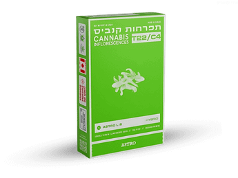 תפרחת אסטרו אל בי - T22/C4 - Astro L.B