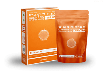 תפרחת אסטרו אס.בי.טי - T22/C4 - Astro S.B.T
