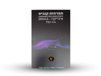 תפרחת אורורה - T22/C4 - Aurora