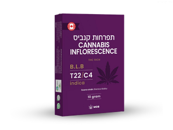 תפרחת בי אל בי - T22/C4 - B.L.B