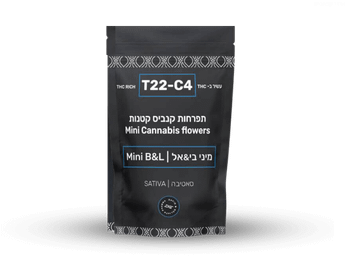 תפרחת בי&אל מיני - T22/C4 - B&L Mini