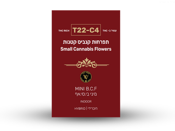 תפרחת בי.אס.אף מיני  - T22/C4 - B.S.F Mini