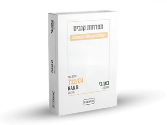 תפרחת באן.בי - T22/C4 - Ban.B