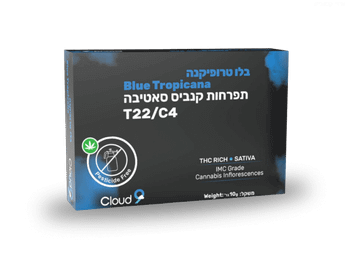 תפרחת בלו טרופיקנה מיני - T22/C4 - Blue Tropicana Mini