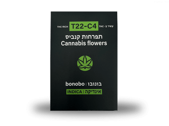 תפרחת בונובו - T22/C4 - Bonobo