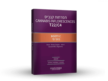 תפרחת בוטי סי - T22/C4 - Booty C