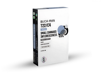 תפרחת בוקה מיני - T22/C4 - Buca Mini
