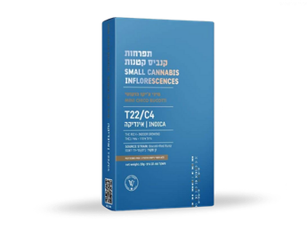 תפרחת בוקוטי צ'יקו מיני - T22/C4 - Bucotti Chico Mini