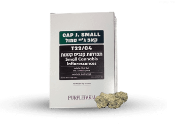 תפרחת קאפ ג'יי סמול - T22/C4 - CAP J Small