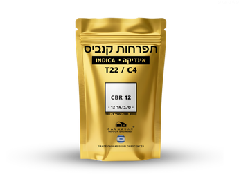תפרחת סי.בי.אר 12 - T22/C4 - CBR 12