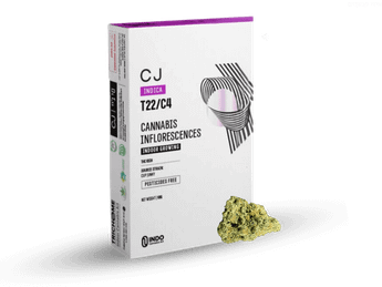 תפרחת סי ג'יי (CJ) - T22/C4 - CJ