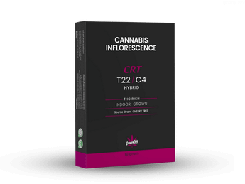 תפרחת סי.אר.טי - T22/C4 - CRT