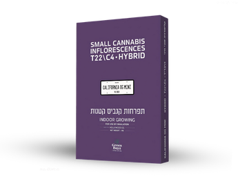 תפרחת קליפורניה אוג'י מיני - T22/C4 - California OG Mini
