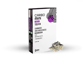 תפרחת קארבו מיני - T22/C4 - Carbo Mini