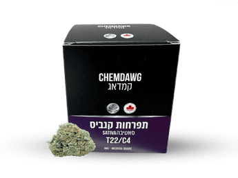 תפרחת כמדוג - T22/C4 - Chemdawg