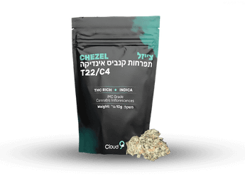 תפרחת צ'יזל - T22/C4 - Chezel
