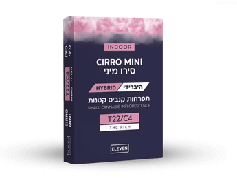 תפרחת סירו מיני - T22/C4 - Cirro Mini
