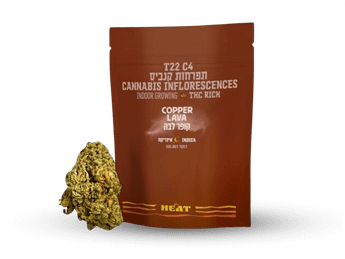 תפרחת קופר לבה - T22/C4 - Copper Lava