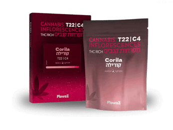 תפרחת קורילה - T22/C4 - Corila
