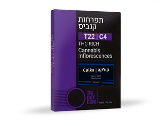 תפרחת קולקה - T22/C4 - Culka
