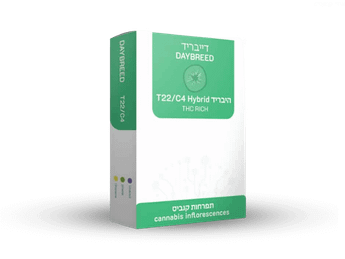 תפרחת דייבריד - T22/C4 - Daybreed