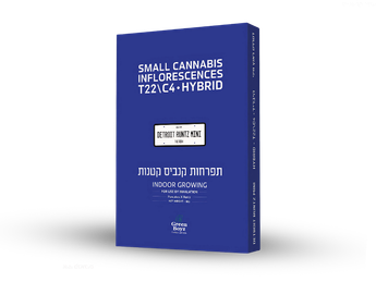תפרחת דטרויט ראנץ מיני - T22/C4 - Detroit Runtz Mini