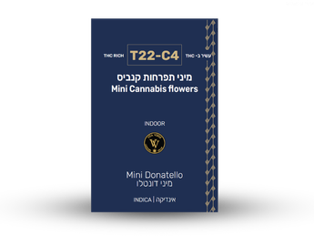 תפרחת דונטלו מיני - T22/C4 - Donatello Mini