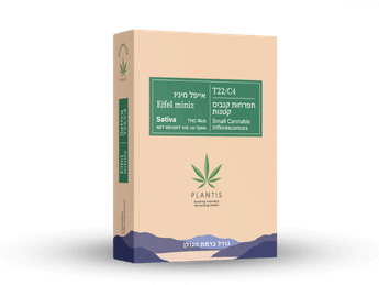 תפרחת אייפל מיניז - T22/C4 - Eifel Mini