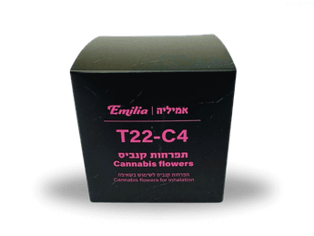 תפרחת אמיליה - T22/C4 - Emilia