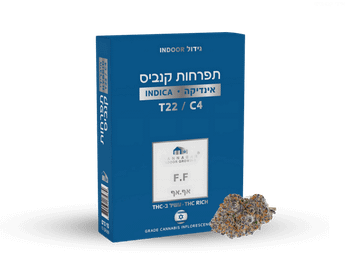 תפרחת אף.אף - T22/C4 - F.F